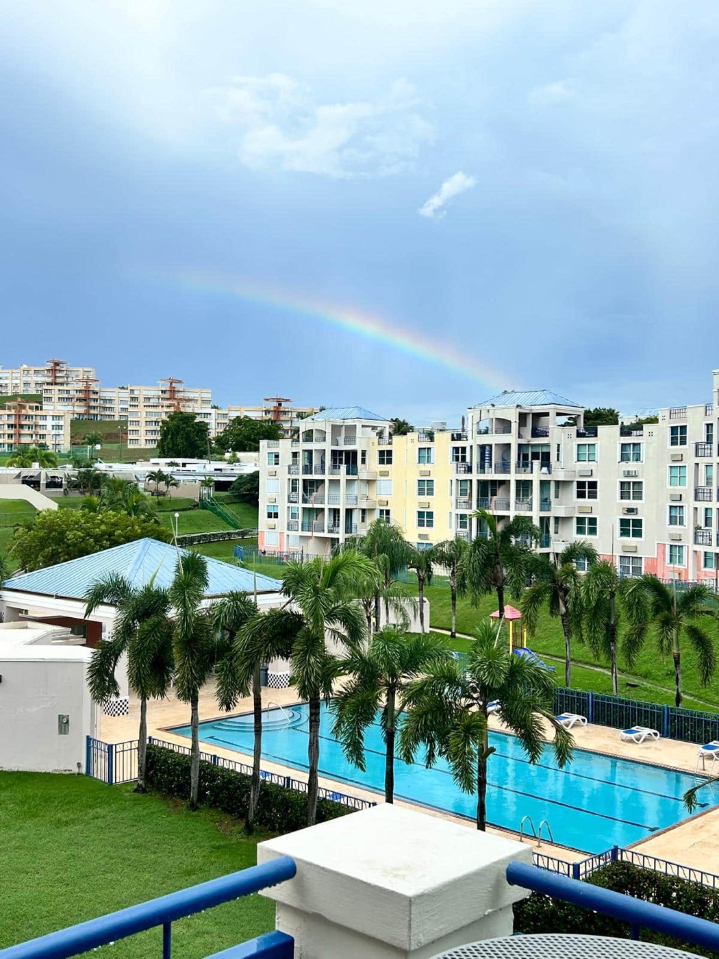 Vista desde el rooftop de Costa Bella: el complejo con piscina, palmeras y un arcoíris en Ceiba